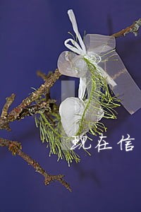 现在信用卡逾期经侦立案标准 现在信用卡逾期经侦立案标准