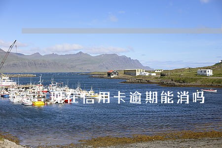 现在信用卡逾期能消吗 现在信用卡逾期能消吗