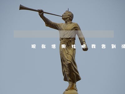 现在信用社把我告到法院了 现在信用社把我告到法院了