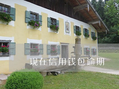 现在信用钱包逾期 现在信用钱包逾期
