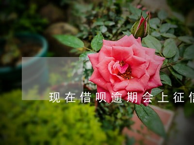 现在借呗逾期会上征信吗 现在借呗逾期会上征信吗