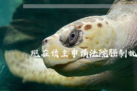 现在债主申请法院强制执行 现在债主申请法院强制执行