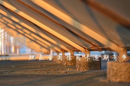 现在全国信用卡逾期有多严重 现在全国信用卡逾期有多严重
