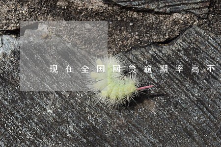现在全国网贷逾期率高不高 现在全国网贷逾期率高不高