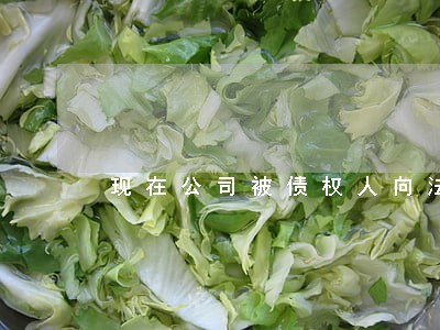 现在公司被债权人向法院起诉 现在公司被债权人向法院起诉