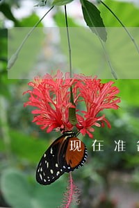 现在准备司法考试还来得及吗 现在准备司法考试还来得及吗