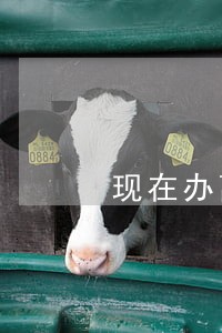 现在办离婚怎么办理手续 现在办离婚怎么办理手续