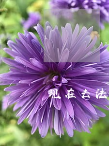 现在去法院交罚金要交多少钱 现在去法院交罚金要交多少钱