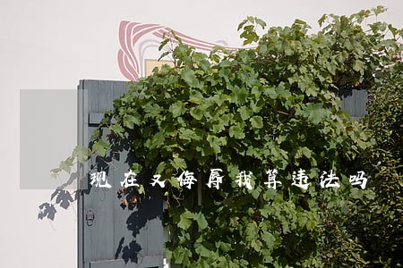 现在又侮辱我算违法吗 现在又侮辱我算违法吗