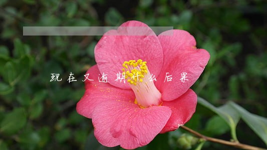 现在又逾期什么后果