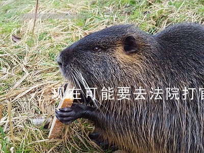 现在可能要去法院打官司 现在可能要去法院打官司