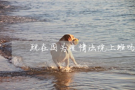 现在因为疫情法院上班吗 现在因为疫情法院上班吗