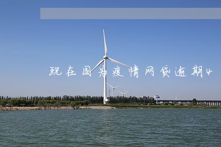 现在因为疫情网贷逾期4个月 现在因为疫情网贷逾期4个月