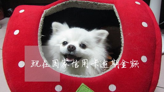 现在国家信用卡逾期金额