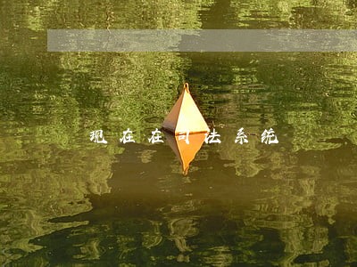 现在在司法系统 现在在司法系统