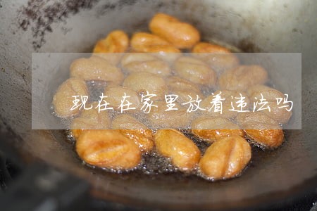 现在在家里放着违法吗