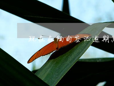 现在在缅甸签证逾期怎么办 现在在缅甸签证逾期怎么办