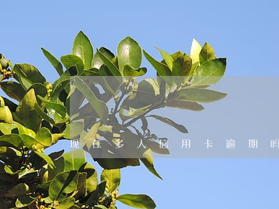 现在多人信用卡逾期吗