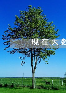 现在大数据信用卡逾期 现在大数据信用卡逾期
