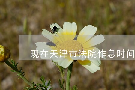 现在天津市法院作息时间 现在天津市法院作息时间