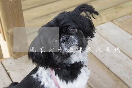现在妇女法律建议离婚 现在妇女法律建议离婚