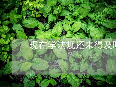 现在学法规还来得及吗