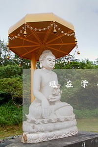 现在学生中不符合党内监督条例规定的有 现在学生中不符合党内监督条例规定的有