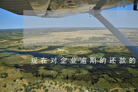 现在对企业逾期的还款的建议 现在对企业逾期的还款的建议