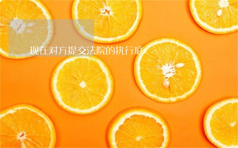 现在对方提交法院的执行庭 现在对方提交法院的执行庭