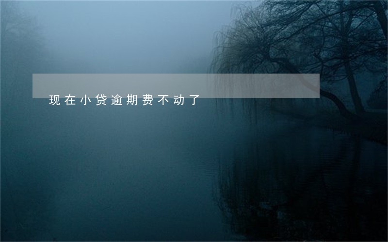 现在小贷逾期费不动了 现在小贷逾期费不动了