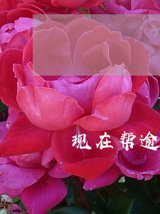 现在帮逾期客户协商分期合法吗 现在帮逾期客户协商分期合法吗