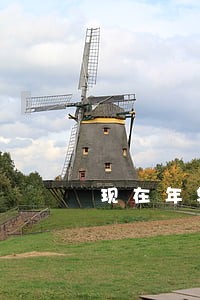 现在年轻人有多少人逾期信用卡