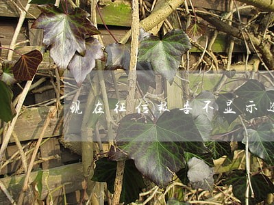 现在征信报告不显示逾期了吗 现在征信报告不显示逾期了吗