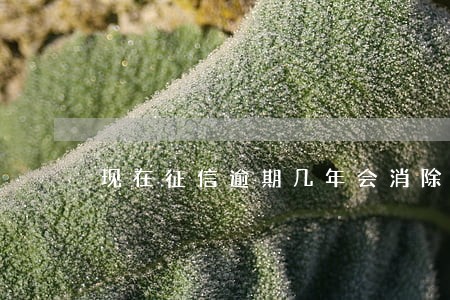 现在征信逾期几年会消除 现在征信逾期几年会消除