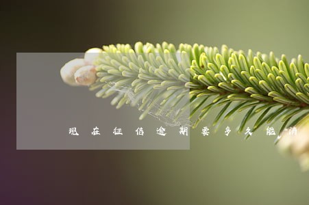 现在征信逾期要多久能消除 现在征信逾期要多久能消除