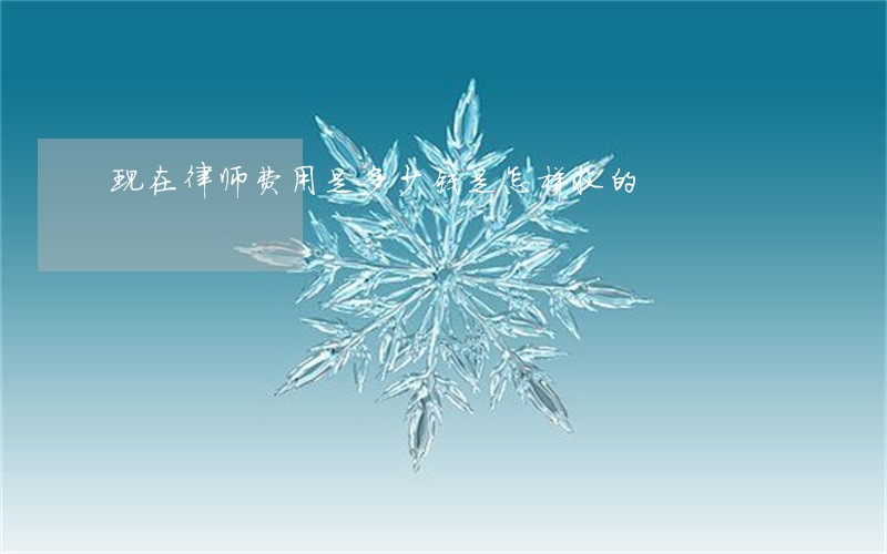 现在律师费用是多少钱是怎样收的 现在律师费用是多少钱是怎样收的