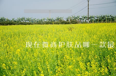 现在微商护肤品哪一款最火爆 现在微商护肤品哪一款最火爆