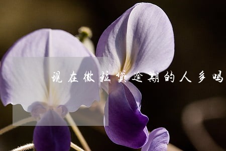 现在微粒贷逾期的人多吗 现在微粒贷逾期的人多吗