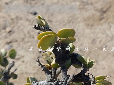现在微贷网逾期一天怎么办