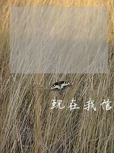 现在我信用卡逾期未还的支付