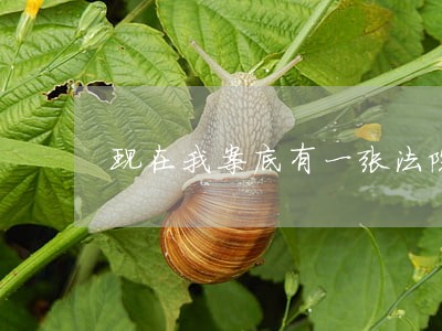 现在我案底有一张法院强制执行单 现在我案底有一张法院强制执行单