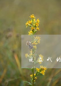 现在我的名字在法院判决书上 现在我的名字在法院判决书上
