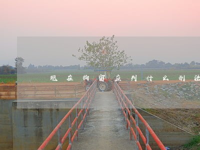 现在拘留应判什么刑法 现在拘留应判什么刑法