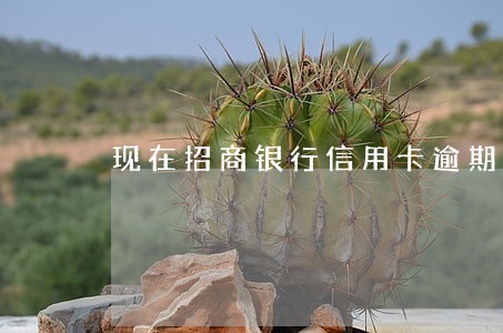 现在招商银行信用卡逾期会上门吗 现在招商银行信用卡逾期会上门吗