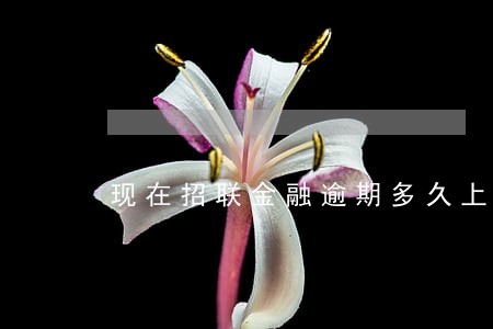 现在招联金融逾期多久上征信 现在招联金融逾期多久上征信