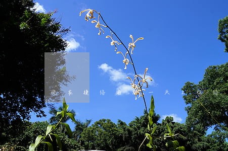 现在捷信逾期一天上征信吗 现在捷信逾期一天上征信吗