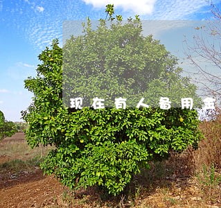 现在有人备用金逾期吗 现在有人备用金逾期吗