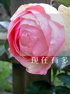 现在有多少人负债逾期 现在有多少人负债逾期