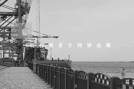 现在有多少网贷逾期 现在有多少网贷逾期