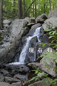 现在有欠款逾期会影响孩子以后吗 现在有欠款逾期会影响孩子以后吗